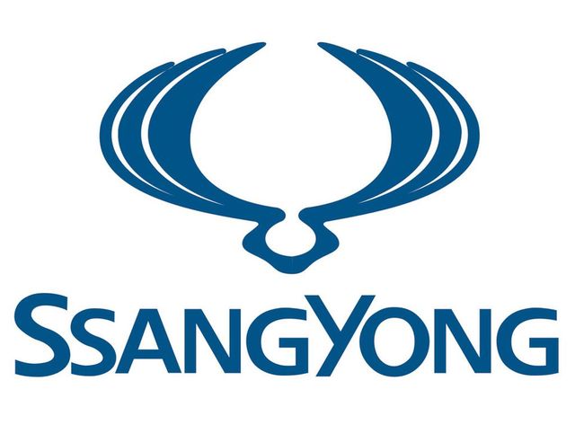 SSANG YONG